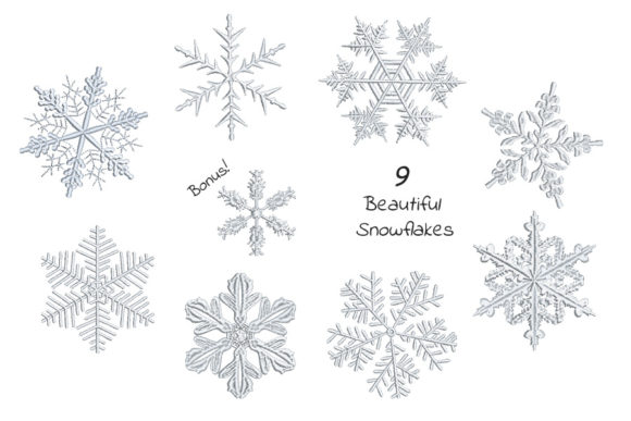 Set of Beautiful Snowflakes Review for Winter Embroidery